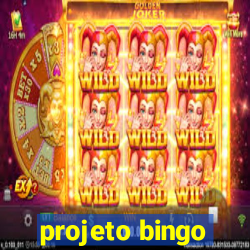 projeto bingo