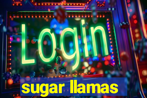 sugar llamas