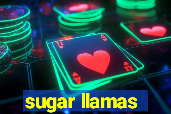 sugar llamas