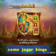 como jogar bingo de cartela