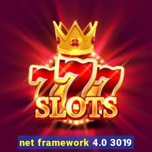 net framework 4.0 3019