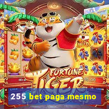 255 bet paga mesmo