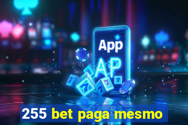 255 bet paga mesmo