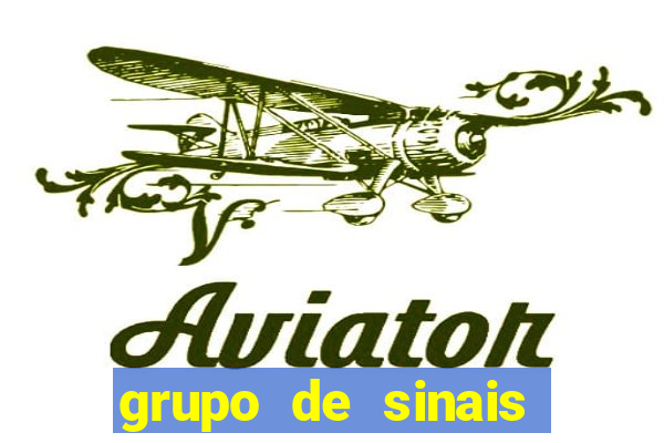 grupo de sinais trader telegram