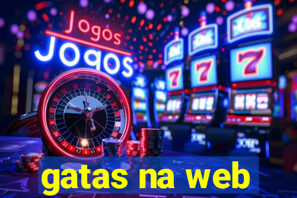 gatas na web