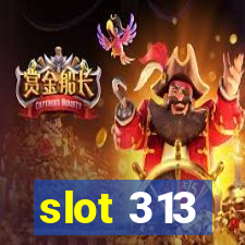 slot 313