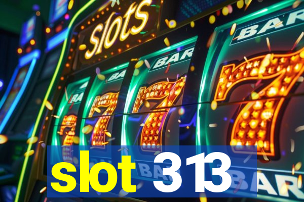 slot 313