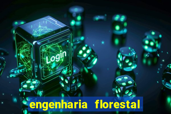 engenharia florestal ead cruzeiro do sul