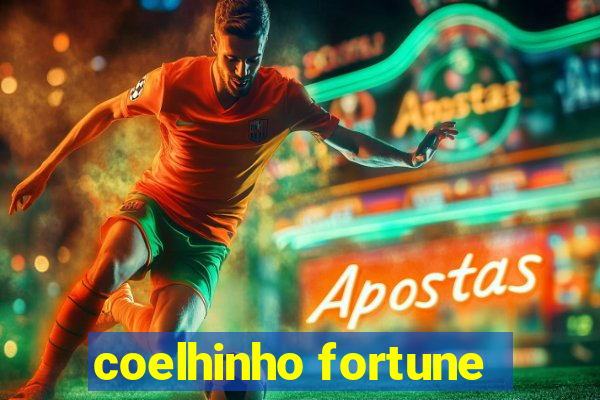 coelhinho fortune