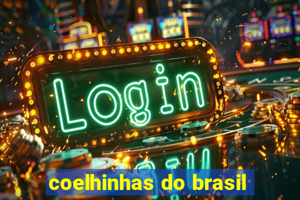 coelhinhas do brasil